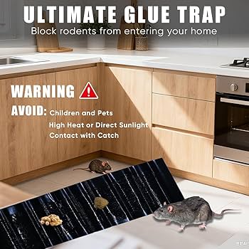 PRODESIRE™ MOUSE GLUE TRAP (100% RESULT)