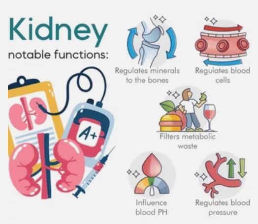 SUGAR CONTROL LI4 ACUPRESSURE POINT CLIP MAGNETIC