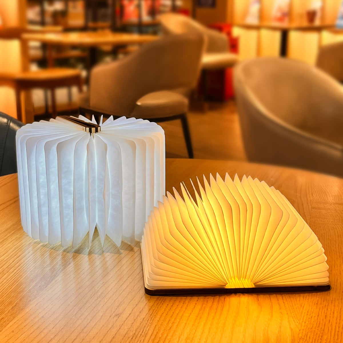 PRODESIRE™ WOODEN LED BOOK LAMP