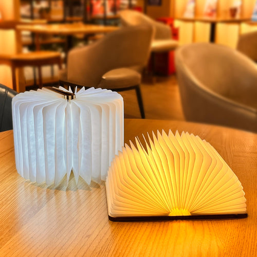 PRODESIRE™ WOODEN LED BOOK LAMP