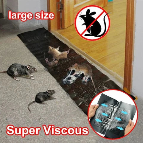 PRODESIRE™ MOUSE GLUE TRAP (100% RESULT)