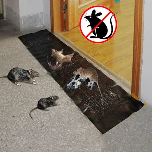PRODESIRE™ MOUSE GLUE TRAP (100% RESULT)
