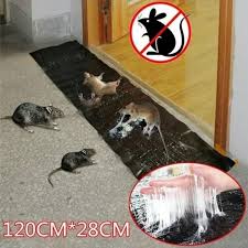 PRODESIRE™ MOUSE GLUE TRAP (100% RESULT)
