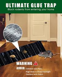 PRODESIRE™ MOUSE GLUE TRAP (100% RESULT)